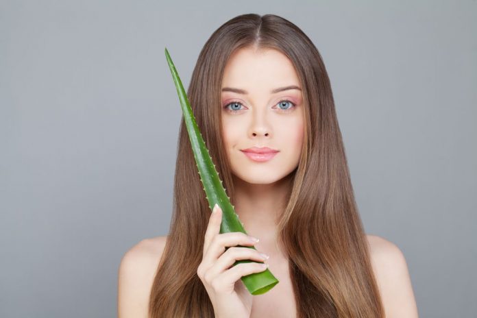 Aloe Vera as a Moisturizer Aloe Vera as a Moisturizer