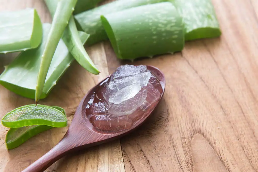 Best Aloe Vera Gel for Acne