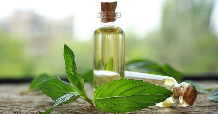 Cool Down the Blaze with Cooling Oils Cool Down the Blaze with Cooling Oils