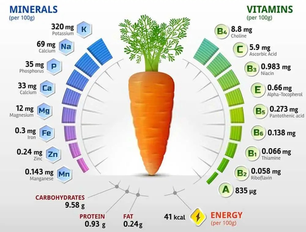 Vitamins and minerals of carrot tuber