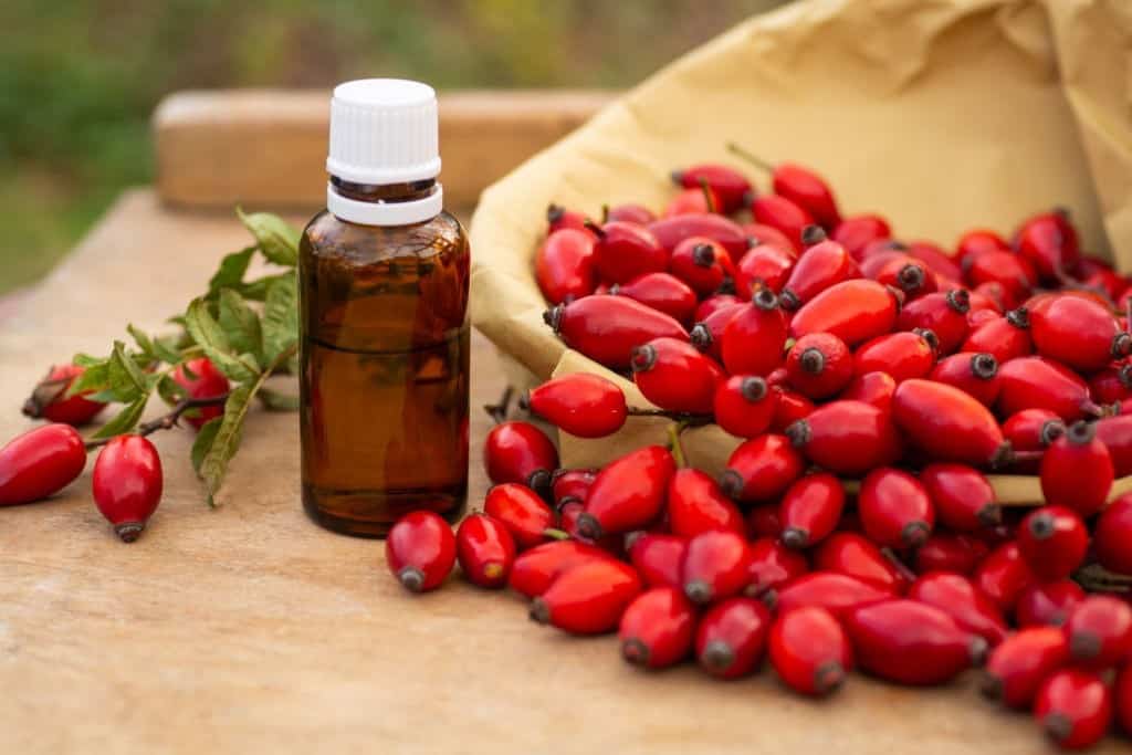 should you store rosehip oil in the fridge