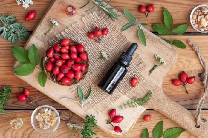 what should rosehip oil smell like what should rosehip oil smell like