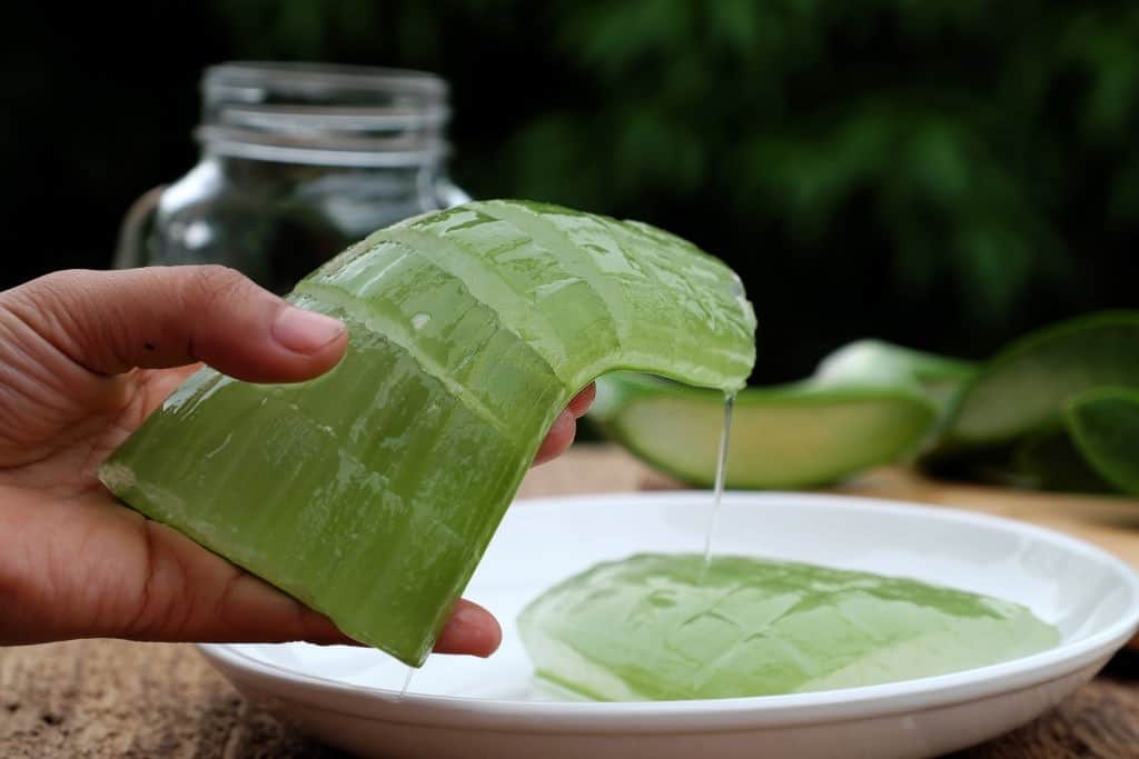 how to tell if aloe vera gel is spoiled
