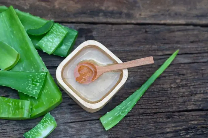 is aloe vera good for rosacea is aloe vera good for rosacea