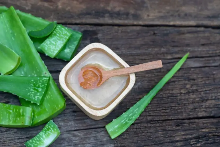 Is Aloe Vera Good For Rosacea? The Real Remedy to Rosacea
