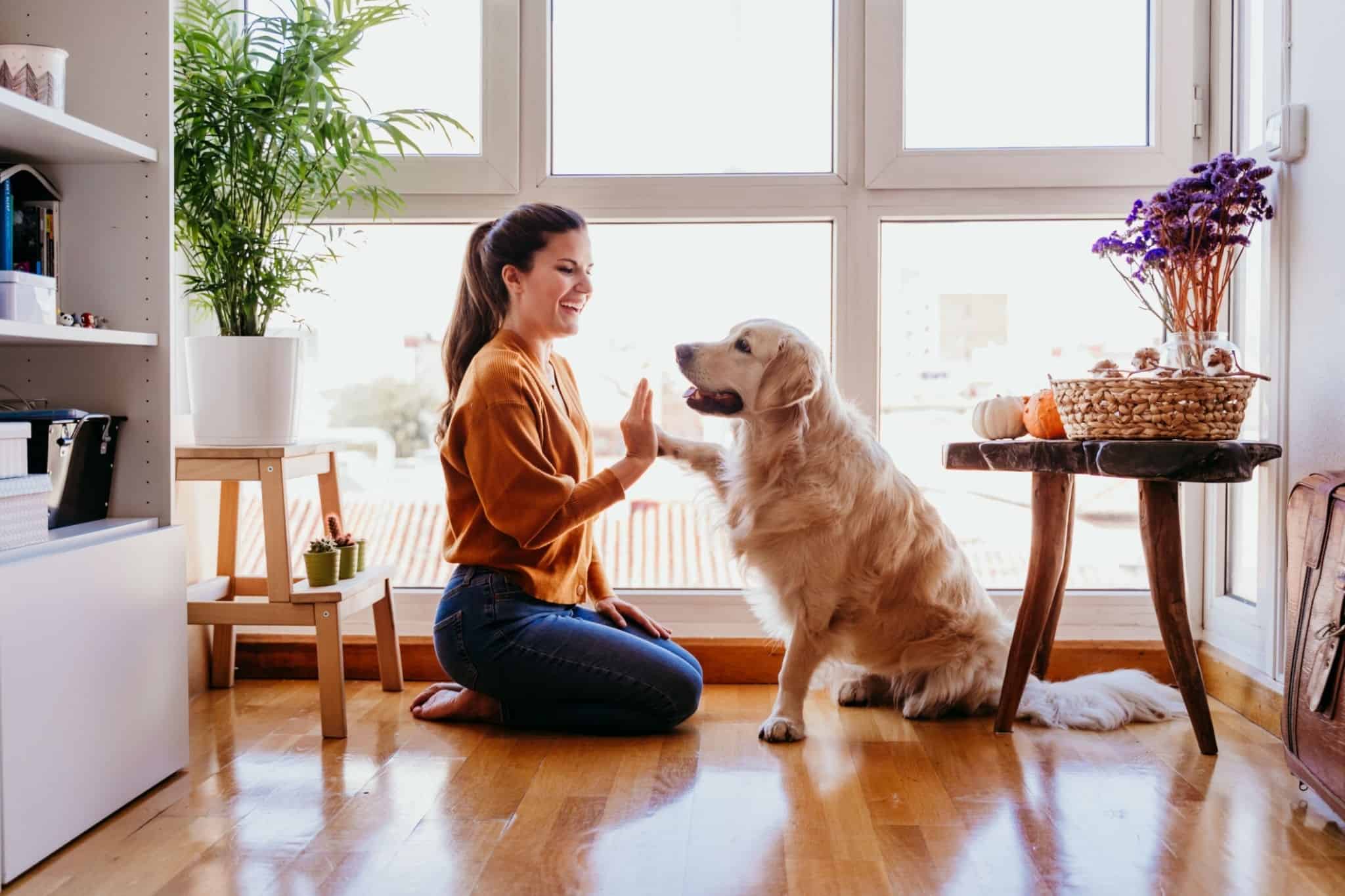 The 4 Best Dog Breeds For Single Women Living Alone