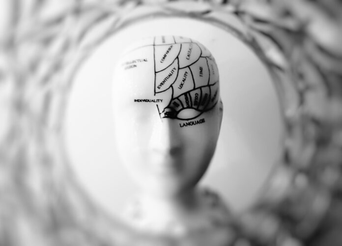 The Surprising Brain Benefits of Playing Poker The Surprising Brain Benefits of Playing Poker