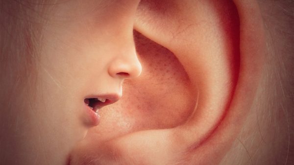 Know About Different Types of Ear Infections