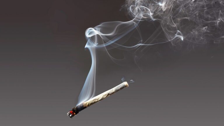 How Long Does Weed Smell Linger How Long Does Weed Smell Linger on Material